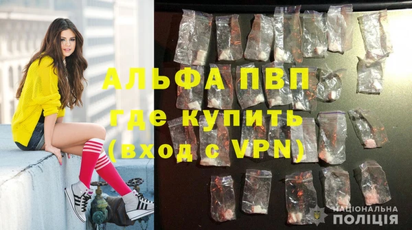 крисы Армянск