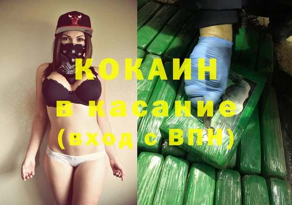 крисы Армянск
