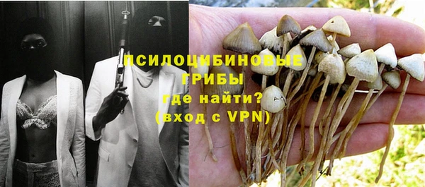 дживик Аркадак