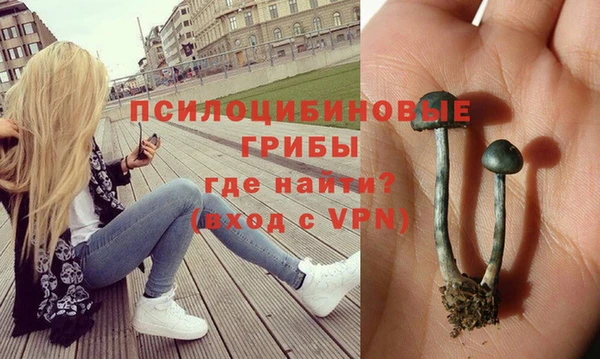 крисы Армянск