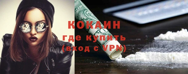дживик Аркадак