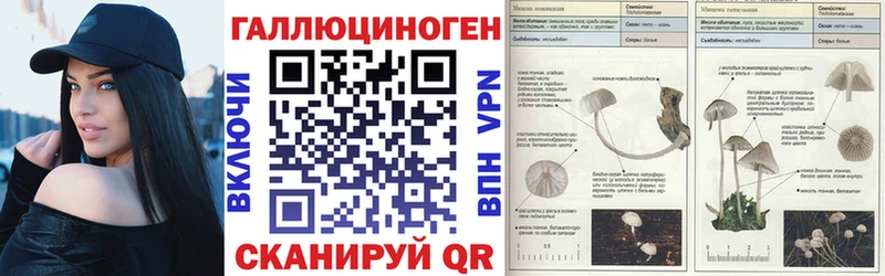 как найти закладки  Новоузенск  Псилоцибиновые грибы Magic Shrooms 